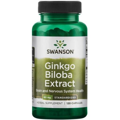 Swanson - Ginkgo Biloba Extract 24%