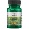 Swanson - L. Plantarum Inner Bowel Support 30 vcaps
