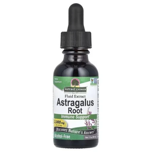 Astragalus Root