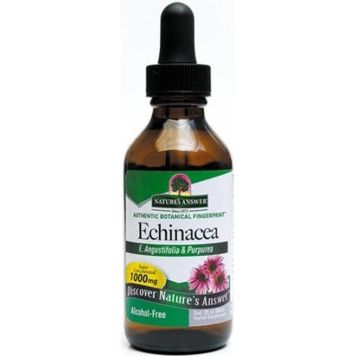 Echinacea Root