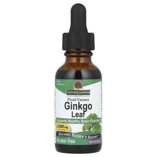 Ginkgo Leaf