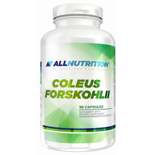 Coleus Forskohlii - 90 kapsler