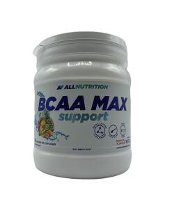 BCAA Max Support - 500 gram