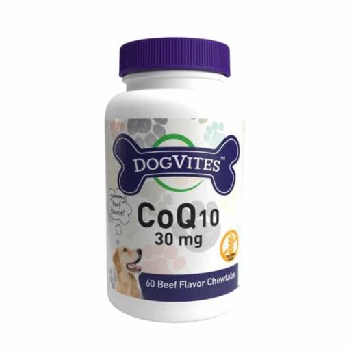 CoQ10 til hunde