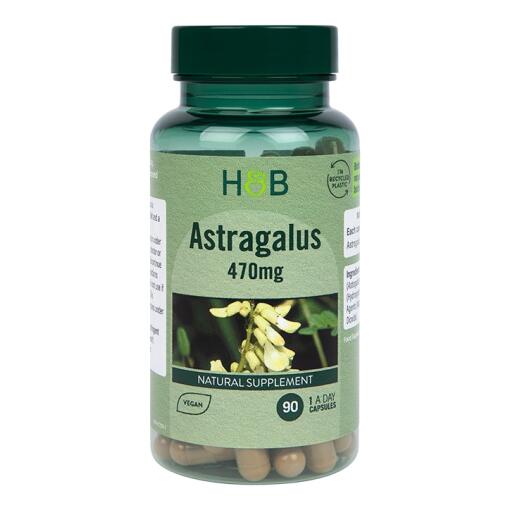 Astragalus