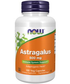 Astragalus
