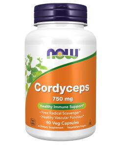 Cordyceps