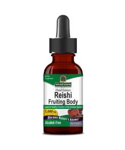 Reishi-frugtkrop