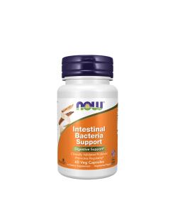 NOW Foods – Intestinal Bacteria Support 60 kapsler