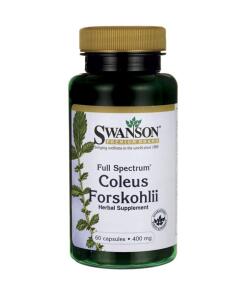 Fuldspektret Coleus Forskohlii