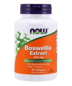 Boswellia Extract 500 mg