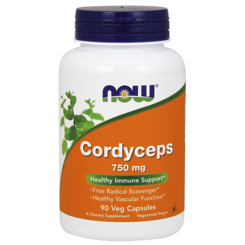 Cordyceps