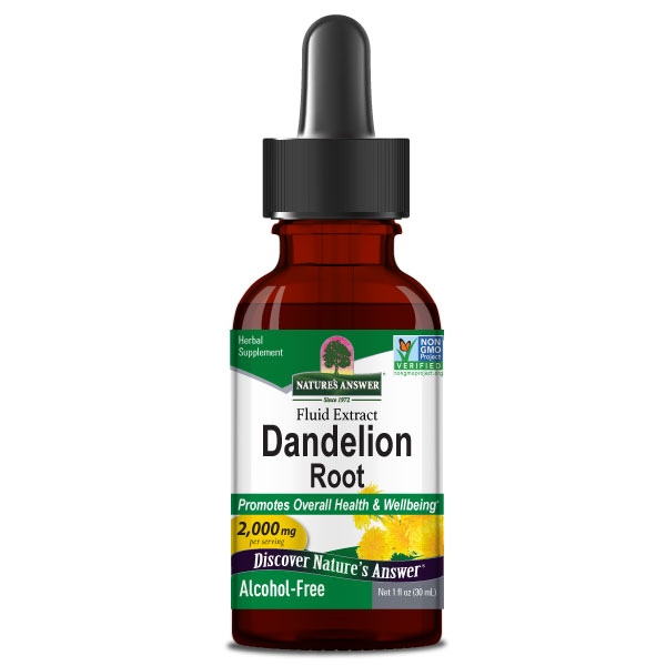Dandelion Root