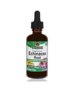 Rdzeń Echinacea