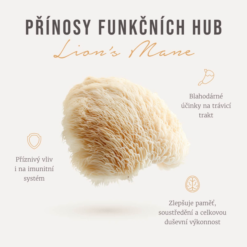 Four Sigmatic - Kawa ziarnista z grzybem Lwia Grzywa - obrazek 2