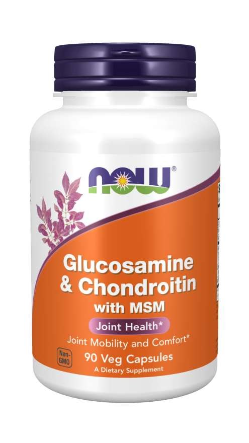 Glucosamine & Chondroitin with MSM - 90 caps