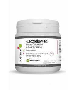KENAY Boswellia Casperome Indena Fitosoma (300 kaps.)
