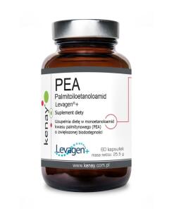 KENAY PEA Palmitoiloetanoloamid Levagen+ 350 mg (60 kaps.)