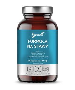 PANASEUS Formula for joints (50 kaps.)