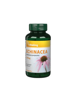 Vitaking Echinacea Purpurea 250 mg (90 kapsułek)