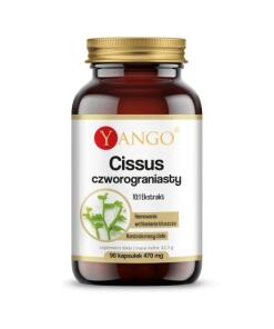 YANGO Cissus quadrangularis (90 kaps.)