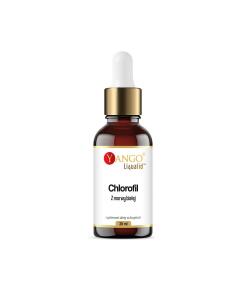 YANGO Biała morwa chlorofil w kroplach (30 ml / 1 fl. oz.)