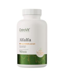 Alfalfa lucerna 90 kapsułek