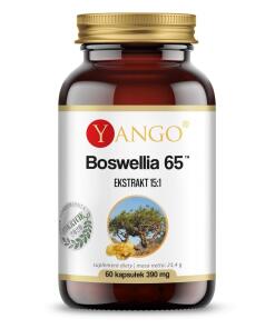 YANGO Boswellia 65 (60 kaps.)