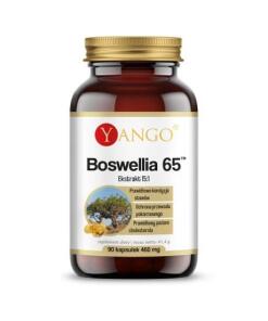 YANGO Boswellia 65 (90 kaps.)