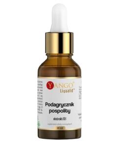 YANGO Kopytnik - ekstrakt 10:1 (30 ml)